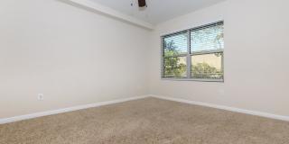 Autumn Wood Gallery 16