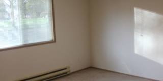 3 Bed 2 Bath Hillsboro Ranch Gallery 14