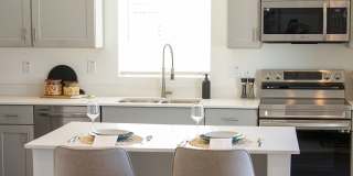 Zora Encanto Gallery 22