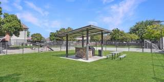 Shadowbrook Gallery 26