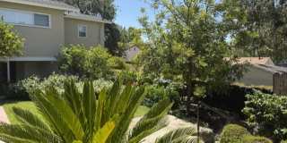 Spacious & Charming 3 Bedroom and a Den Home with Beautiful Updates Gallery 36