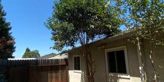 4th of July MOVE IN SPECIAL! $500.00 off your first month's rent if you move in by July 4th! Gallery 19