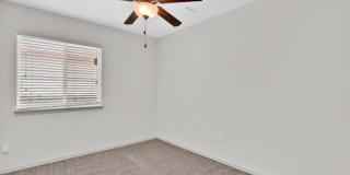 14900 TIM HARDAWAY Gallery 24