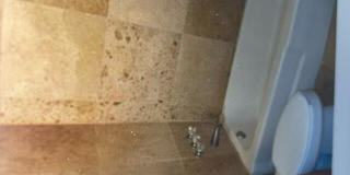 4051 NE 13th Avenue 61-3 Gallery 1