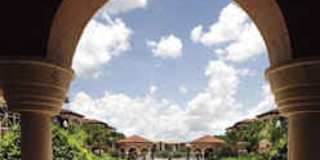 Unbeatable Value! 1BR Condo in Gated Palms Club – Pool, Gym & More! Gallery 7