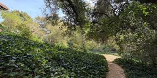 Leafy Montecito Gallery 25