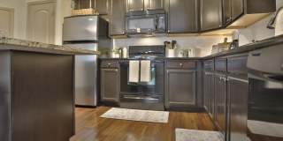 Palmera Apartments Gallery 4