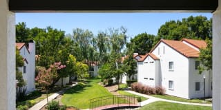 Laurel Creek Gallery 9