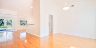 3298 Branch Creek Dr Gallery 10