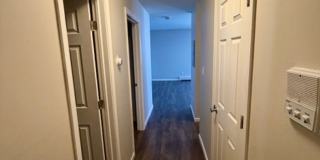 Fully Renovated Modern Apartments Gallery 13