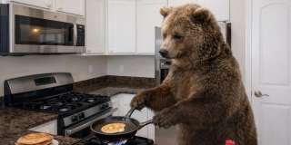 5630 Alliance Way Gallery 48