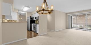 Gorgeous 2 bedroom home- Move-In Ready Condo in Parkview. Minutes to Downtown Greenville & the New Harris Teeter Shopping Hub! Gallery 1