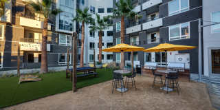 The Harlowe Apartment Homes Gallery 13