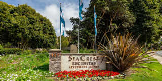 Elan Seacrest Apartment Gallery 1