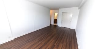 Dorchester Gallery 30