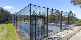 5220 Peacock Hill Drive Gallery 26