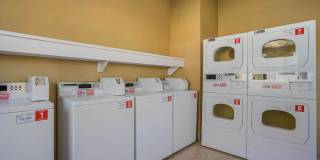 Wynfield Trace Gallery 27