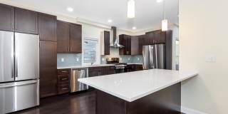 77 Winchester St Gallery 2