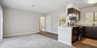 Vert at Six Forks Gallery 10