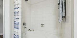 Congress Grove Gallery 53