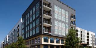 Avalon South End Gallery 36