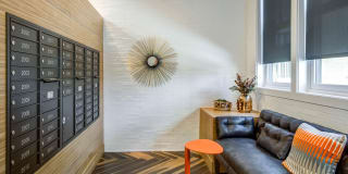 Willow & Maple Gallery 14