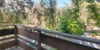 22852 Hilton Head Drive Gallery 5