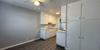 Summer Woods Gallery 6