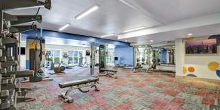 Pratt Park Apartments Gallery 23