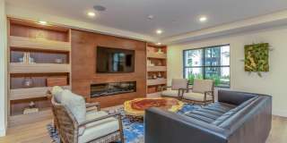 Vineyards Gallery 20