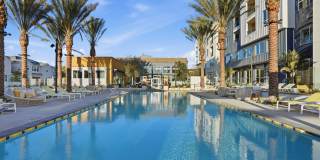 Luminary at Cota Vera Gallery 1