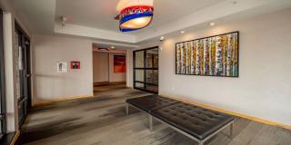 Gallery Flats Gallery 14