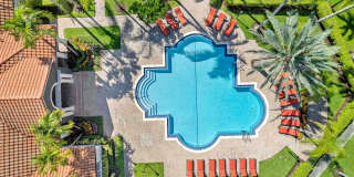 Coral Vista Gallery 11