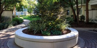 Amador Village Gallery 3