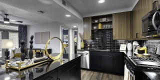 Ele Lower Greenville Gallery 2