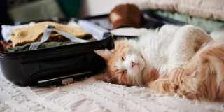 Elán Solana Pointe Gallery 7