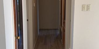 2709 Lore Street Gallery 18