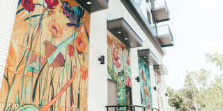 Noko Gallery 56