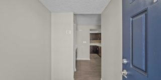 The Lake Gallery 106