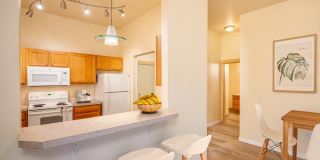 Fairview Village Gallery 1