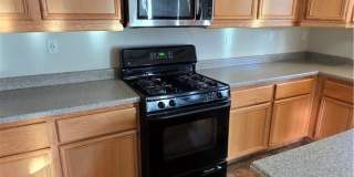 14279 Wildcat Gallery 21