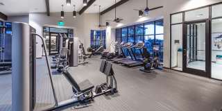 The Braydon Gallery 38