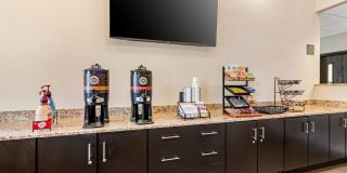 Buffalo - Airport Gallery 6