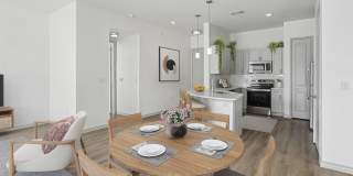 Terra Lago Gallery 3