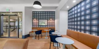 Elm at Panorama Gallery 42