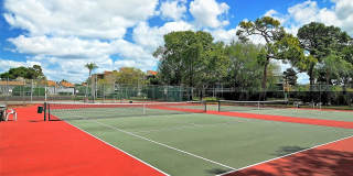 712 WHITE PINE TREE ROAD Gallery 50