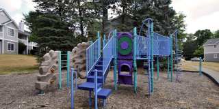 The Haven of Ann Arbor Gallery 23