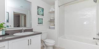 Vineyards Gallery 122