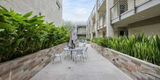 Olea Gallery 58