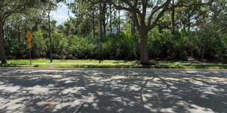 241 E THATCH PALM Circle E Gallery 18